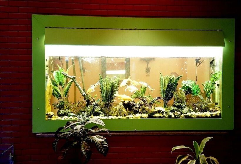 Номер Deluxe, Ganesha Palace