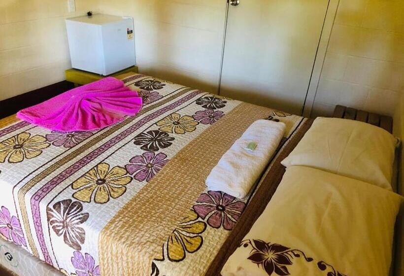 اتاق اکونومی, Transit Motel