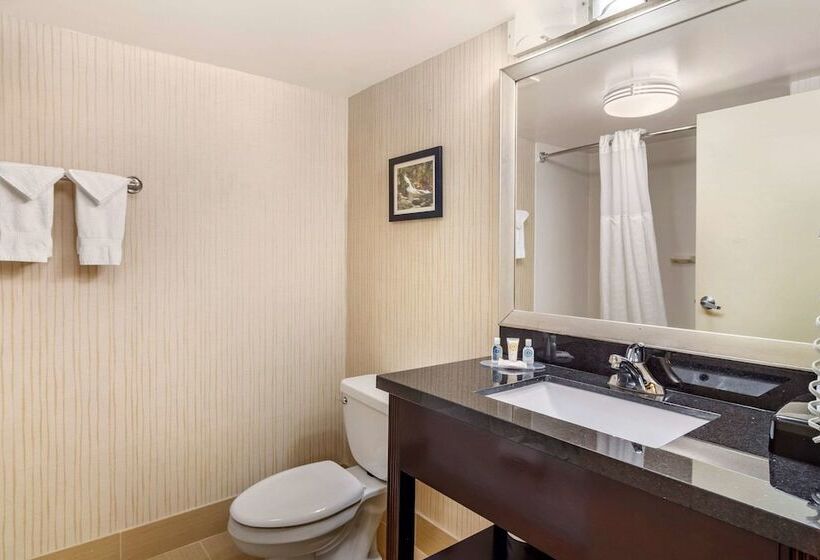 Номер Стандарт 2 Двуспальные Кровати, Comfort Inn Douglasville  Atlanta West