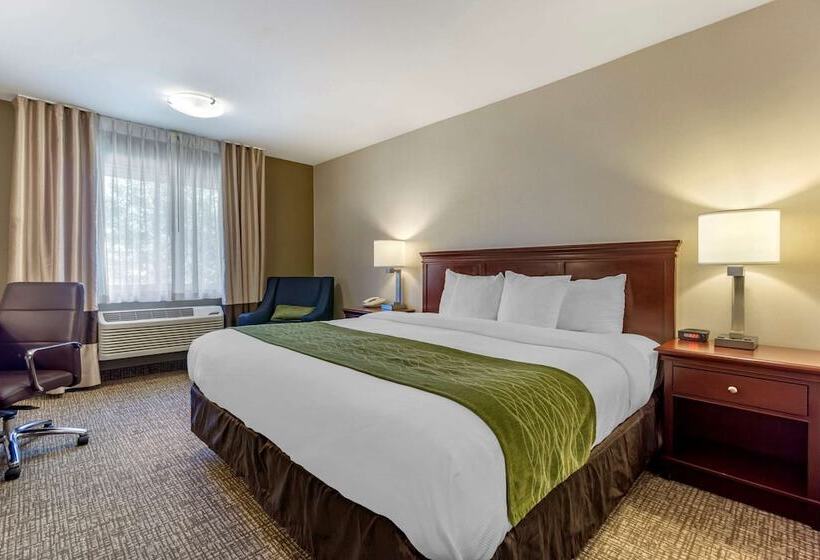 Люкс, Comfort Inn Kennewick Richland