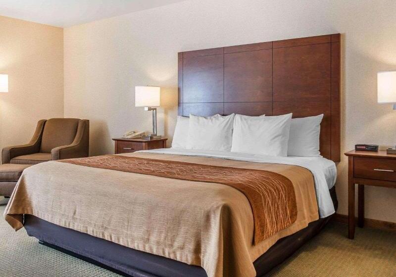 스탠다드 룸 킹사이즈 침대, Comfort Inn Salida