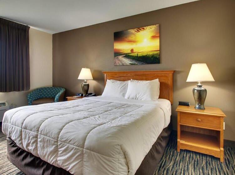 スタンダードシングルルーム, Everspring Inn & Suites