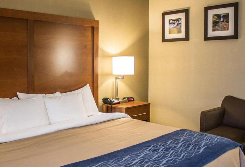 스탠다드 룸 킹사이즈 침대, Quality Inn
