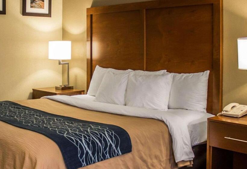 스탠다드 룸 킹사이즈 침대, Quality Inn