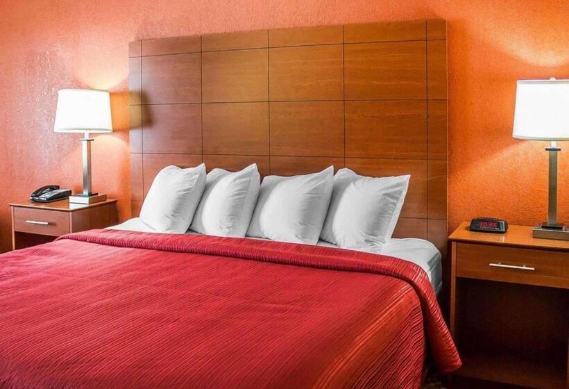 스탠다드 룸 킹사이즈 침대, Quality Inn Manitowoc