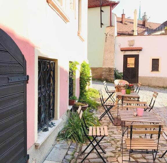 침실 1개 디럭스 아파트, Boutique Apartments U Rolanda, Mikulášské Náměstí