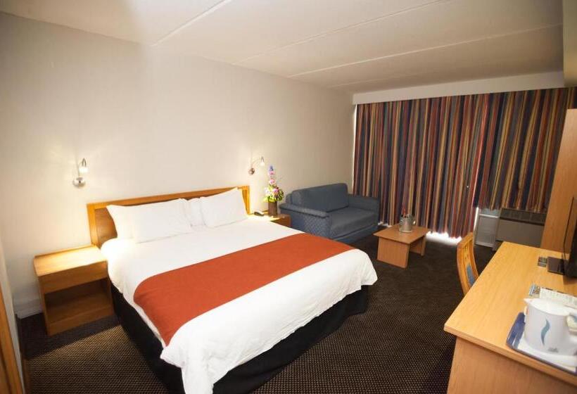 اتاق لوکس با تخت بزرگ, African Sky Newcastle Inn