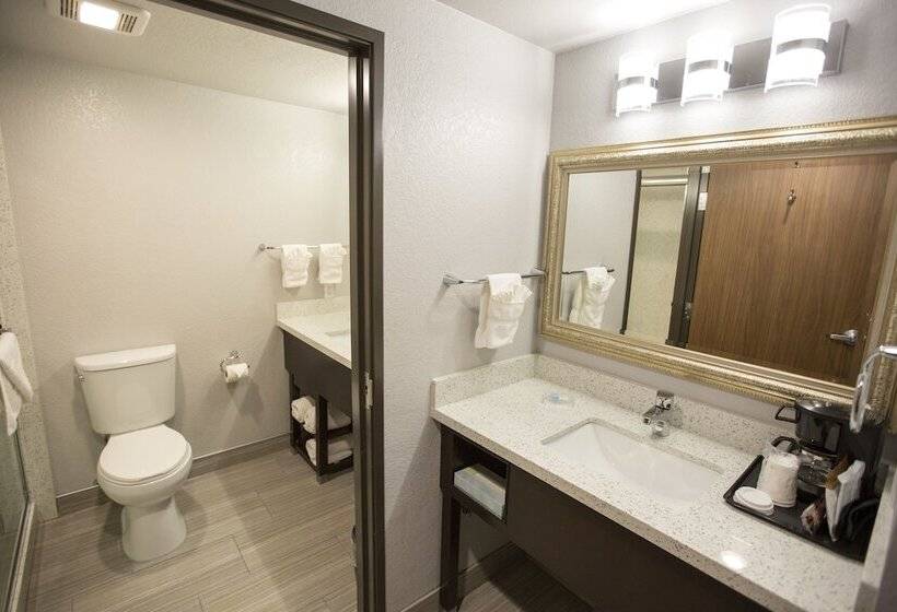 Номер Стандарт Двуспальная Кровать, Amanzi Hotel, Ascend Hotel Collection