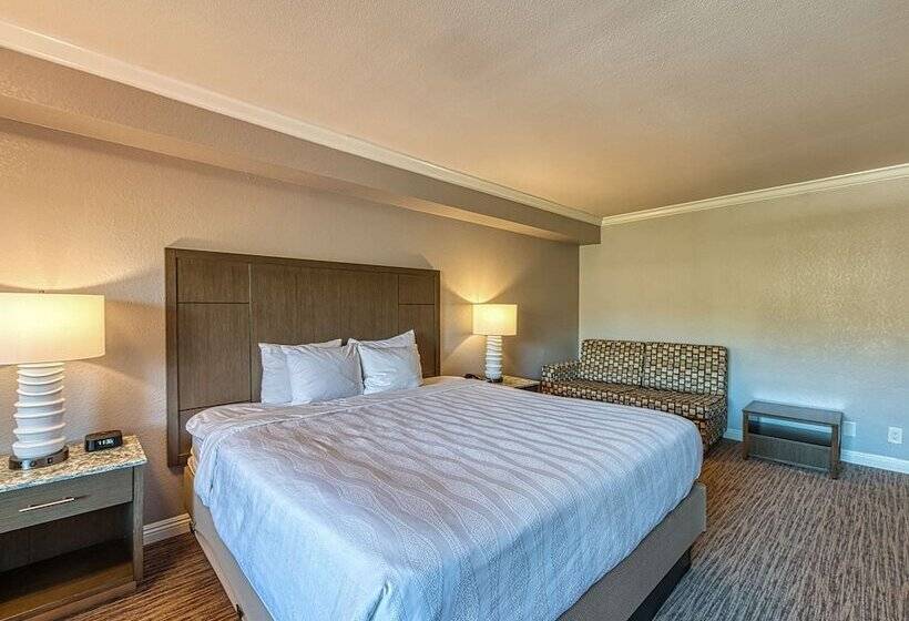 Номер Стандарт Двуспальная Кровать, Amanzi Hotel, Ascend Hotel Collection