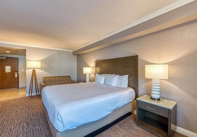 Номер Стандарт Кровать Кинг Адаптированный для Инвалидов, Amanzi Hotel, Ascend Hotel Collection