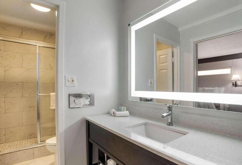 스위트, Baymont By Wyndham Montgomery Al