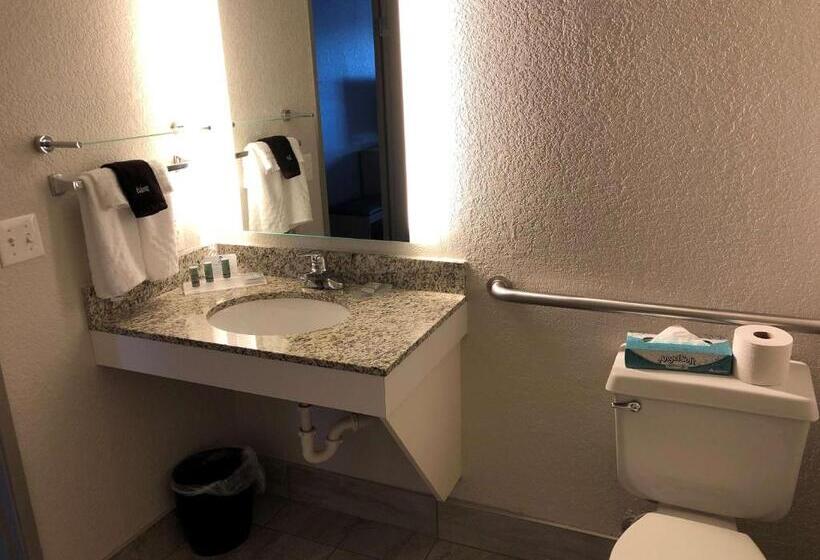 残疾人使用的带特大床的标准间, Best Western Eau Claire South