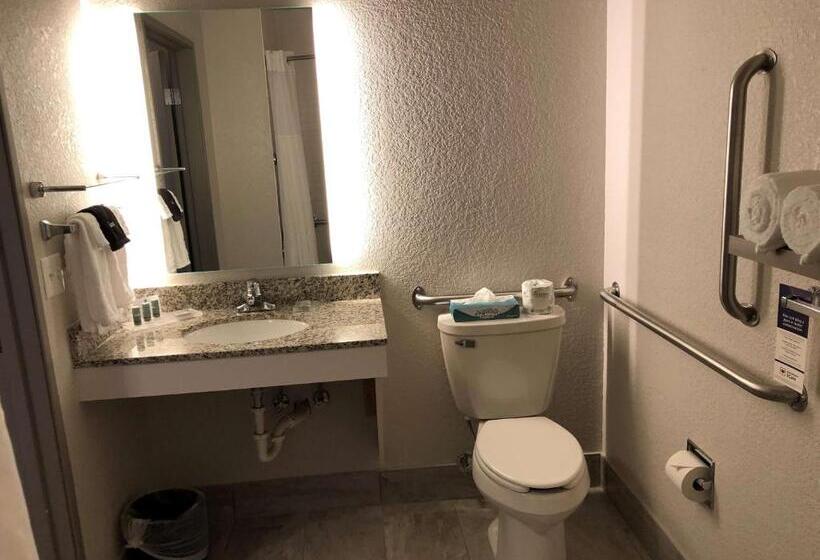 残疾人使用的带特大床的标准间, Best Western Eau Claire South