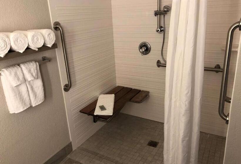 残疾人使用的带特大床的标准间, Best Western Eau Claire South