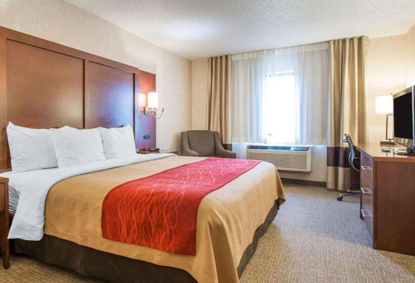 带大床的标准间, Comfort Inn North  Air Force Academy Area