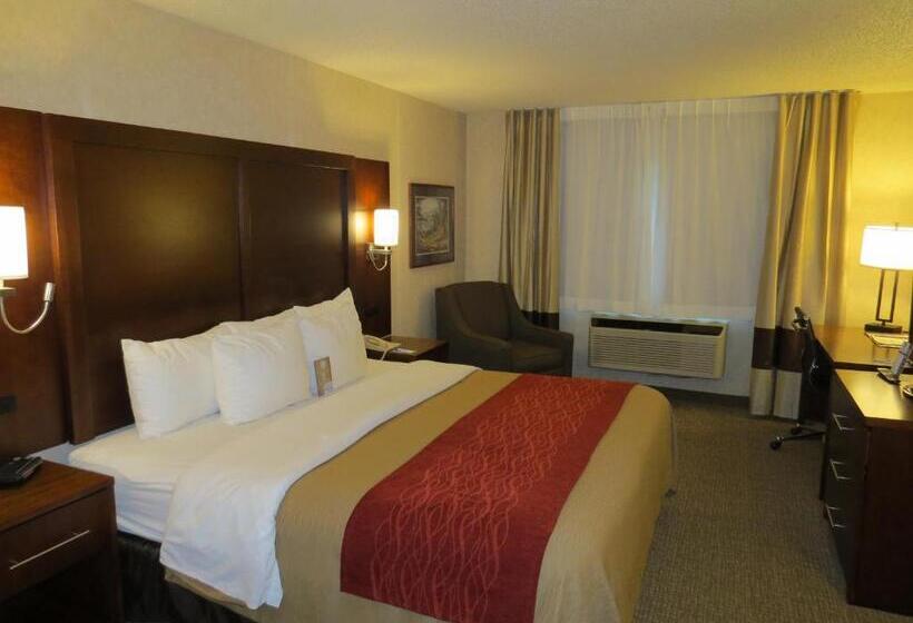 带大床的豪华间, Comfort Inn North  Air Force Academy Area