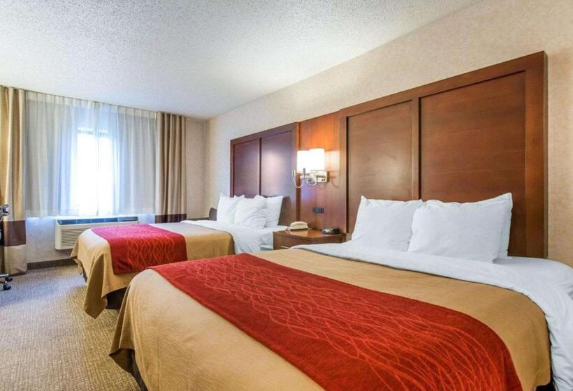 标准间, Comfort Inn North  Air Force Academy Area