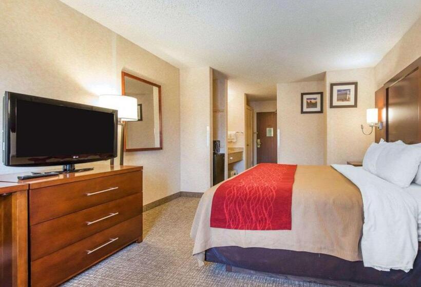 适合残疾人士使用的带超级大床的标准间, Comfort Inn North  Air Force Academy Area