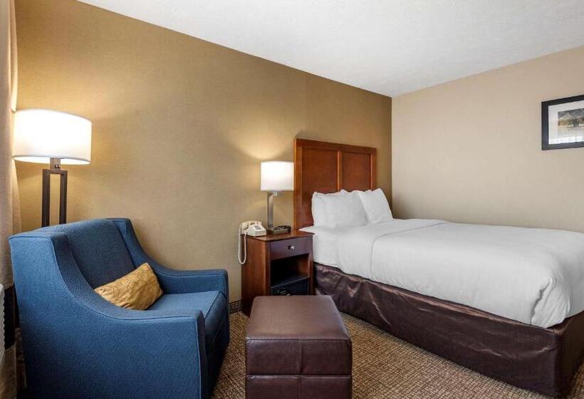 Номер Стандарт Адаптированный для Инвалидов, Comfort Inn & Suites Montpelierberlin