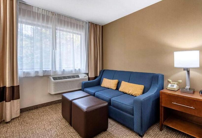 Номер Стандарт, Comfort Inn & Suites Montpelierberlin