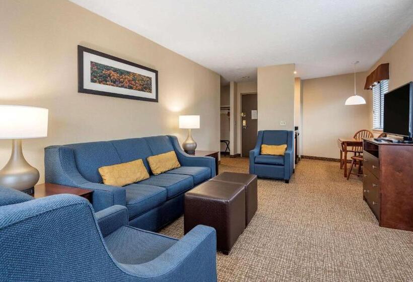 Люкс Кровать Кинг, Comfort Inn & Suites Montpelierberlin
