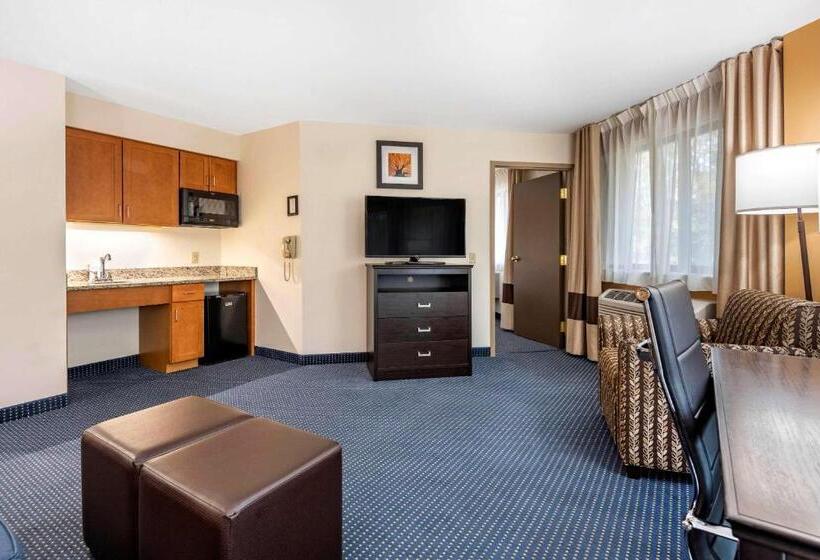 Люкс Кровать Кинг, Comfort Inn & Suites Montpelierberlin