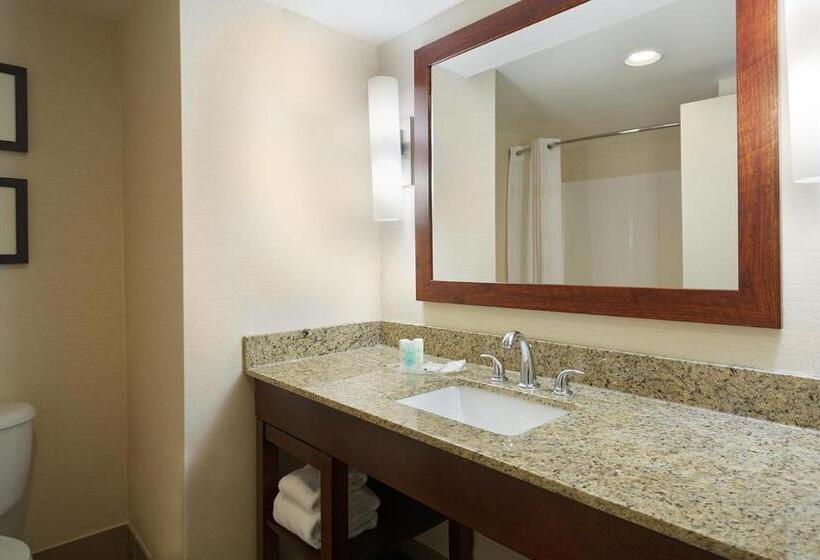 Suite, Comfort Suites Innsbrook  Short Pump