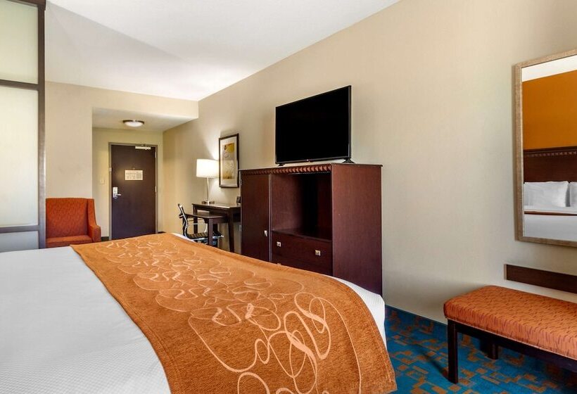 Suite, Comfort Suites Knoxville West  Farragut