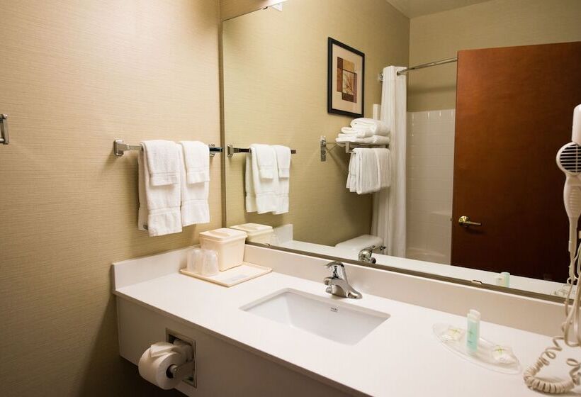 Люкс, Comfort Suites Springfield Riverbend Medical