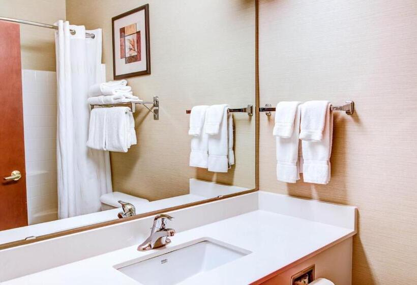 Люкс, Comfort Suites Springfield Riverbend Medical