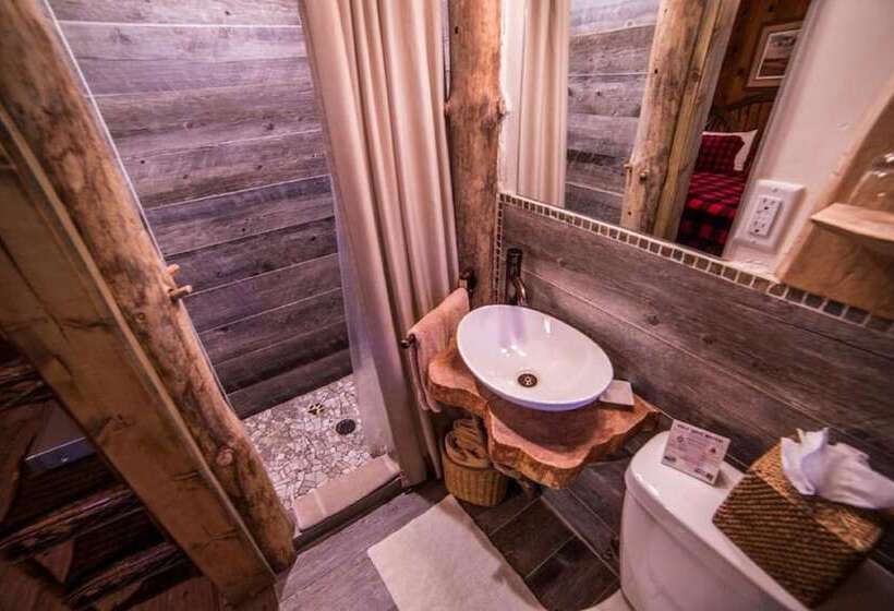 استودیو استاندارد با تخت کینگ, Cottage Inn At Lake Tahoe