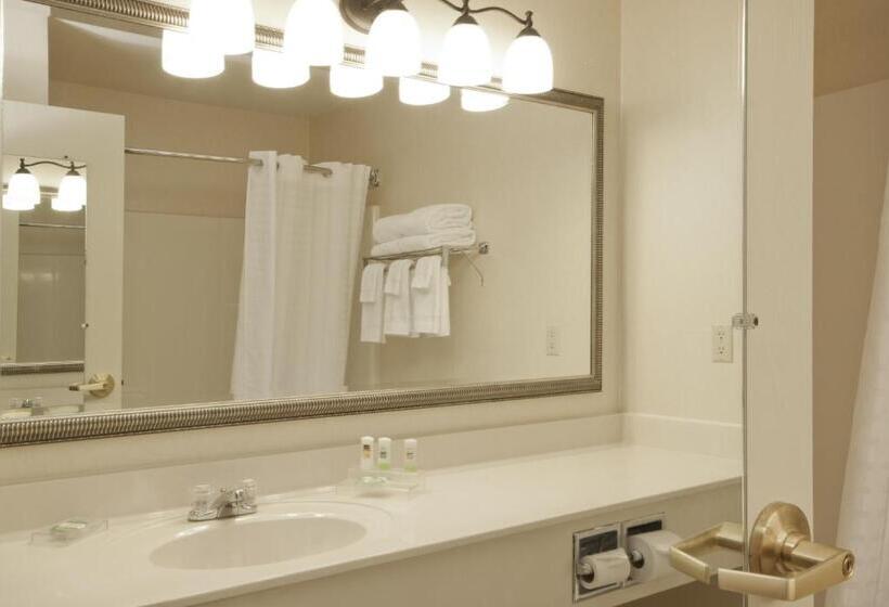 Номер Стандарт Адаптированный для Инвалидов, Country Inn & Suites By Radisson, Davenport, Ia
