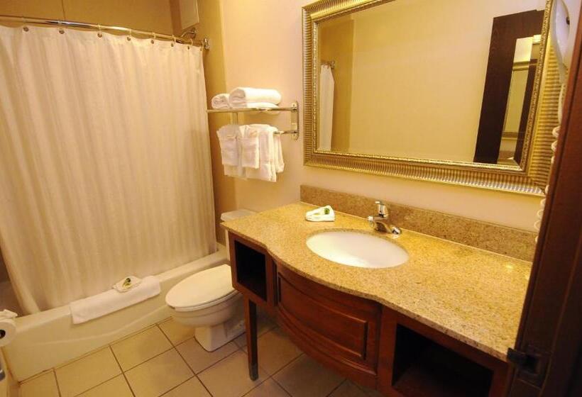 스탠다드 룸, Country Inn Ontario