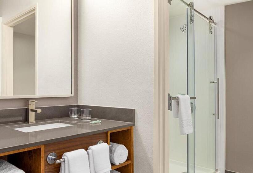 Стандартный Номер Кровать Кинг, Courtyard Houston Sugar Land/stafford