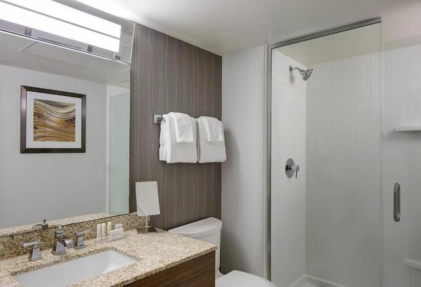 اتاق استاندارد با تخت بزرگ برای معلولان, Courtyard Grand Rapids Downtown