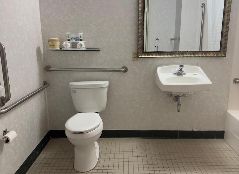 Люкс Адаптированный для Инвалидов, Duluth Inn & Suites Near Spirit Mountain