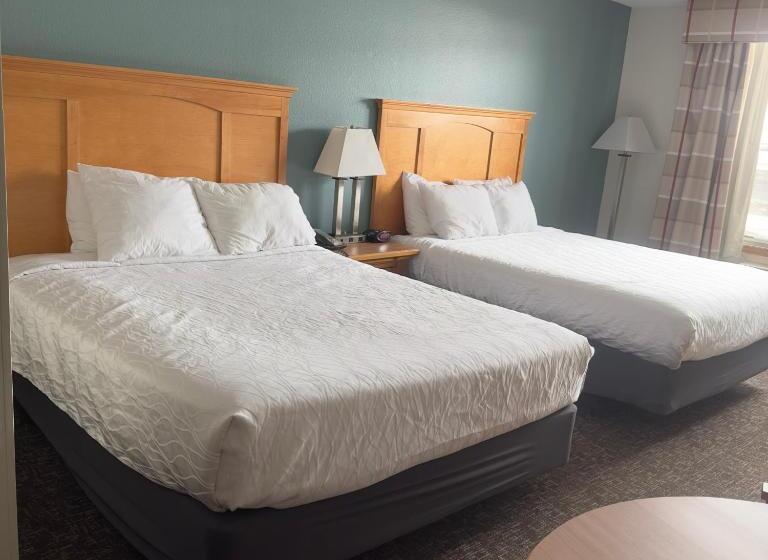 Номер Стандарт Адаптированный для Инвалидов, Duluth Inn & Suites Near Spirit Mountain