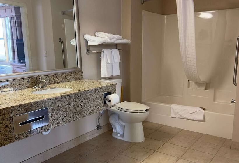Люкс Адаптированный для Инвалидов, Duluth Inn & Suites Near Spirit Mountain