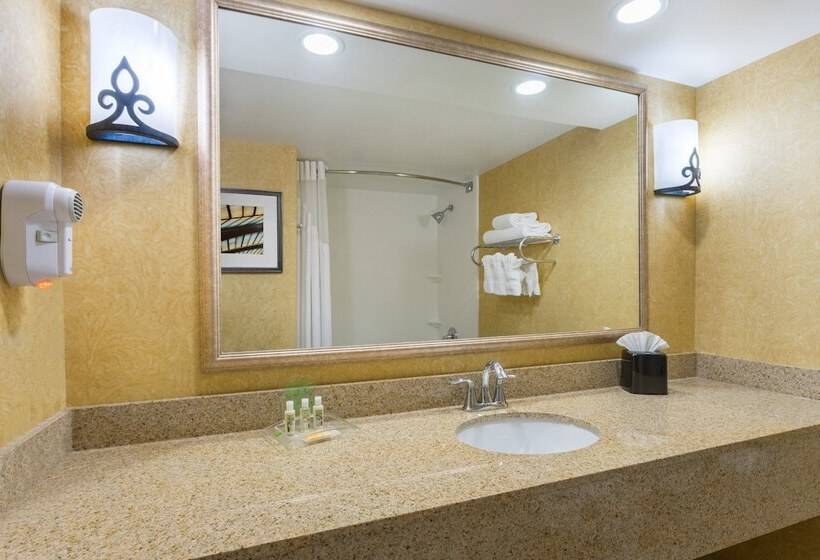 Номер Стандарт, Holiday Inn Baltimore Bwi Airport, An Ihg