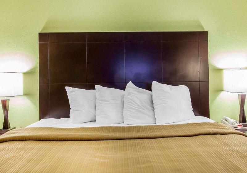 스탠다드 룸 킹사이즈 침대, Quality Inn & Suites Dublin