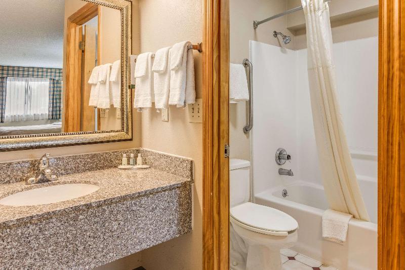 스탠다드 룸 킹사이즈 침대, Quality Inn & Suites Dublin