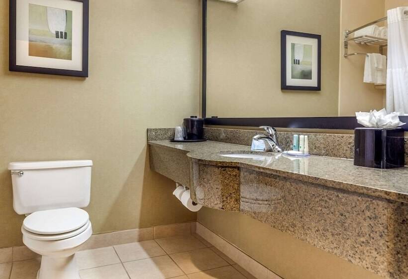 Люкс, Quality Inn & Suites Durant