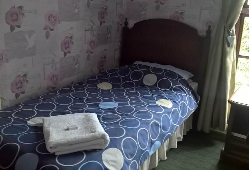 غرفة قياسية, Rhymney House