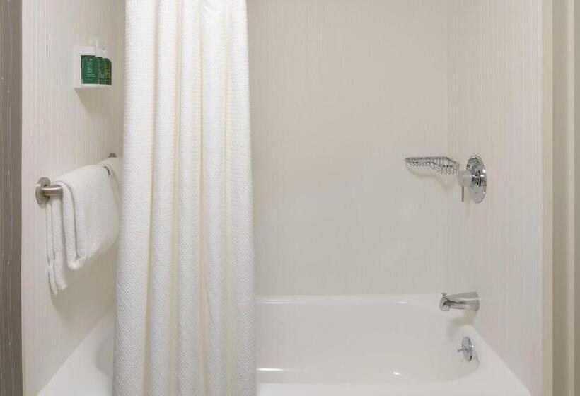 스위트 킹사이즈 침대, Courtyard By Marriott Lynchburg