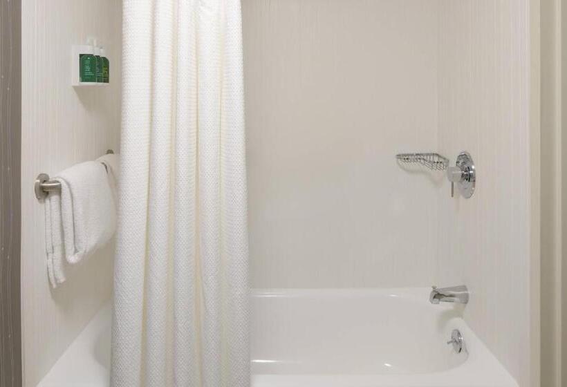 Suíte Cama King, Courtyard By Marriott Lynchburg