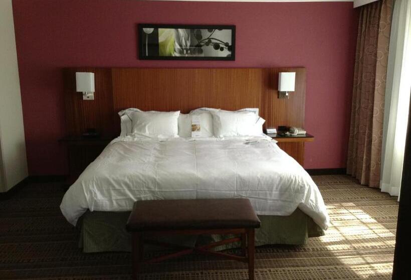 스탠다드 룸 킹사이즈 침대, Doubletree By Hilton Chatsworth