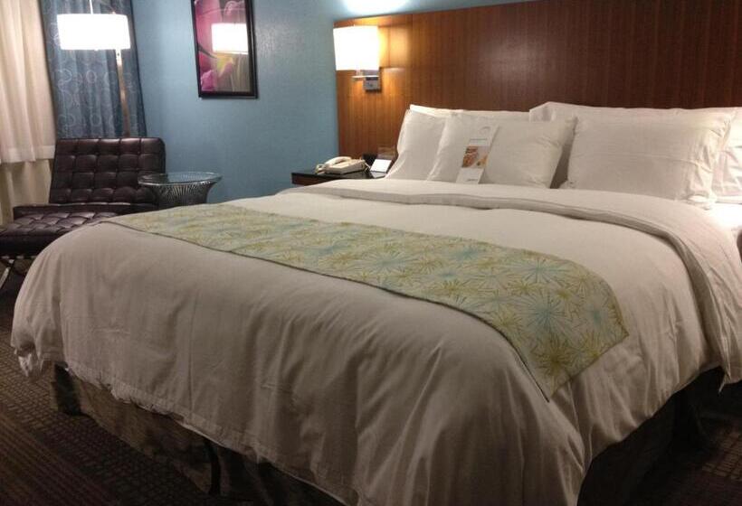 스탠다드 룸 킹사이즈 침대, Doubletree By Hilton Chatsworth