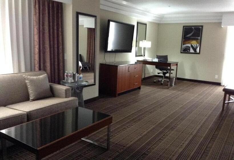 스탠다드 스튜디오 킹침대, Doubletree By Hilton Chatsworth