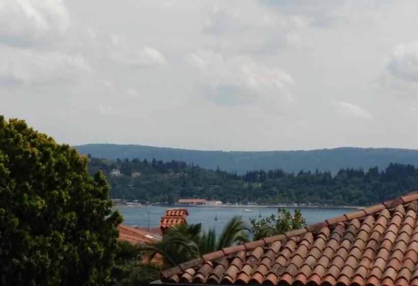 اتاق استاندارد با چشم‌انداز باغ, Villa Senegačnik