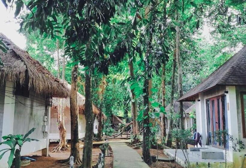 디럭스 룸, Villa Allure Koh Mak